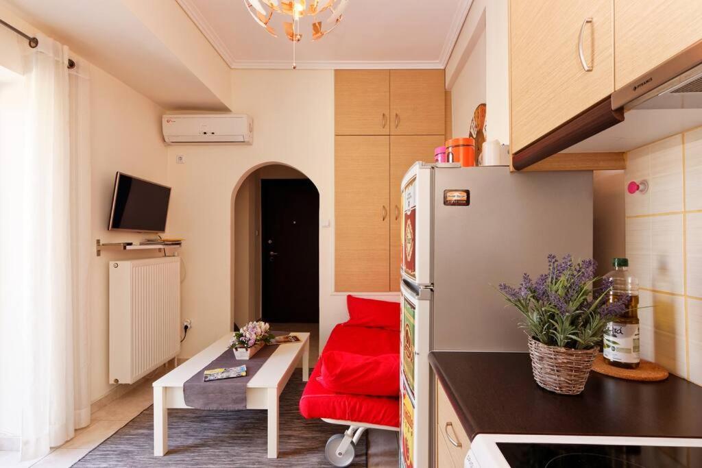 Apartament Big Terrace Near Metro And Athens Center Zewnętrze zdjęcie
